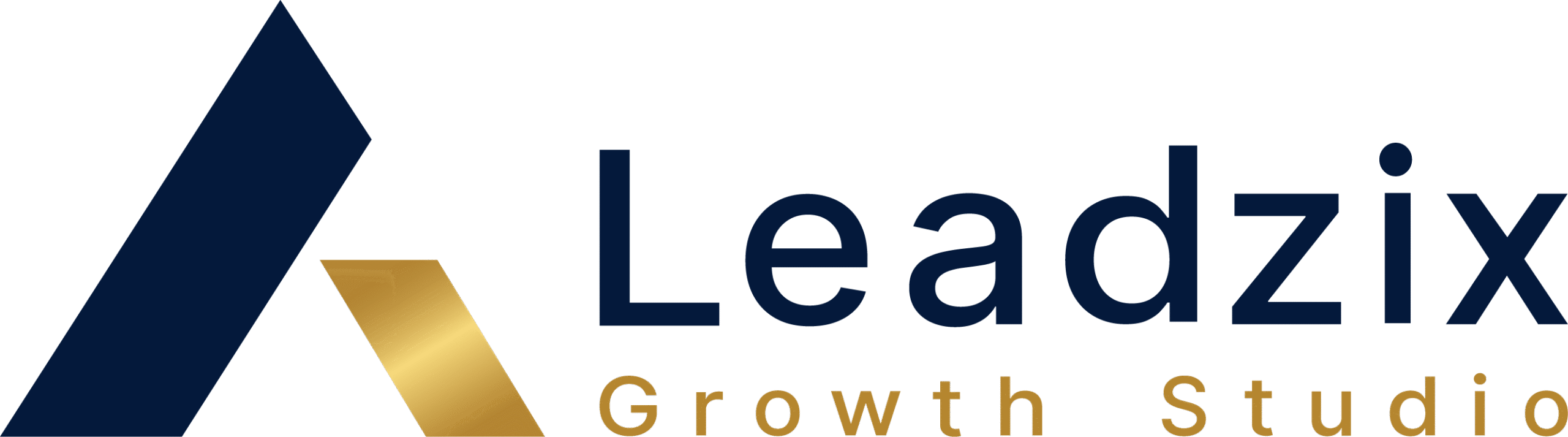 Leadzix Growth Studio